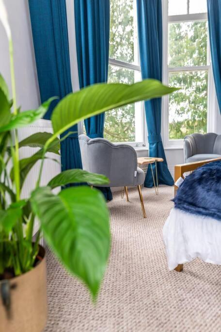 * Popular * Stunning Quiet Apartment By The Sea Torquay Buitenkant foto