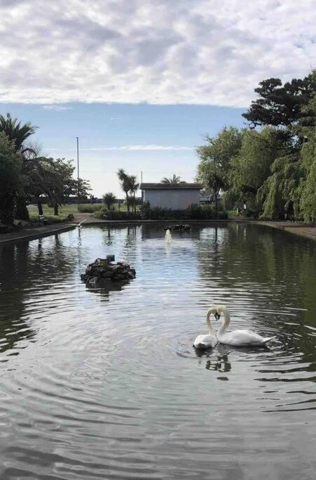 * Popular * Stunning Quiet Apartment By The Sea Torquay Buitenkant foto